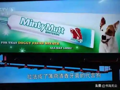 龙妈加狗子阵容搭配(云顶之弈奶妈主c阵容)插图16