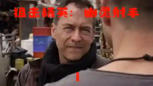 狙击精英幽灵射手(狙击精英4)