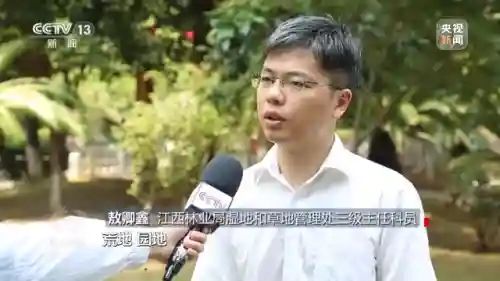 体球网手机比分(体球网足球官网)插图9