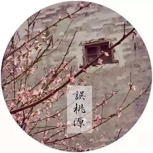 原神纳兰阵容搭配攻略(神法阵容)插图3