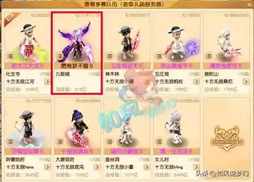 梦幻雪山服战队阵容搭配(雪天队最强配置)插图6