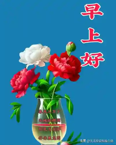 带来福气和好运的图片(女人好运吉祥微信头像图片)插图11