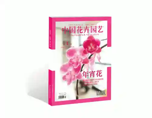 花鸟卷御魂搭配2023(绘世花鸟卷pve御魂配置)插图1