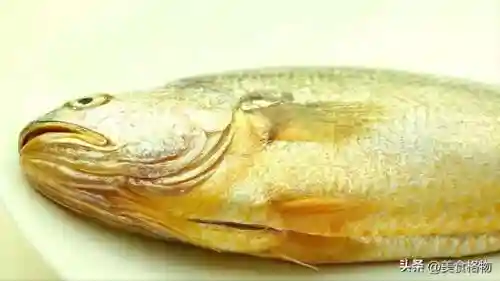 5种公认最好吃的海鱼(最好吃海鱼排名)插图21