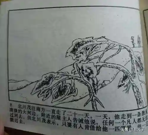 寻宝渔夫大亨(捕鱼大亨)插图8