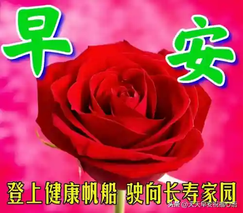 带来福气和好运的图片(女人好运吉祥微信头像图片)