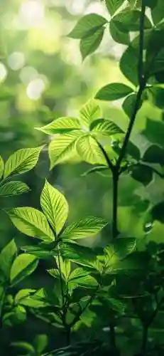 屏保图片手机壁纸2022高清动态(手机屏保壁纸)插图12