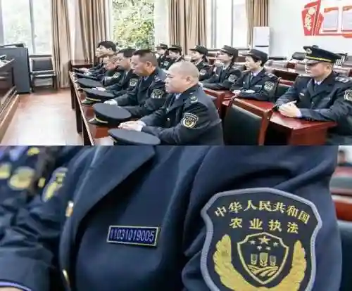 新版真实执法阵容搭配图(法正最稳的一套阵容)插图7