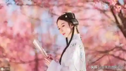 盛世芳华武则天阵容搭配(盛世芳华下载)