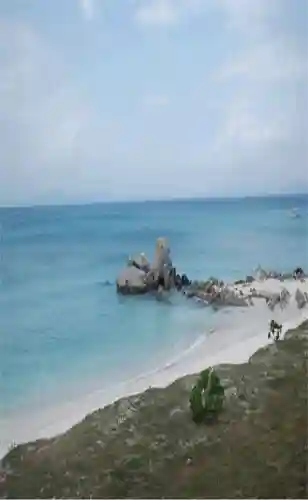 超好看的手机壁纸图片(手机壁纸图片女生专用)插图98 超好看的手机壁纸图片(手机壁纸图片女生专用)插图98
