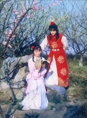 贾政令宝钗扶着树干的故事是什么(贾政和宝钗去了小树林是哪一回)插图5