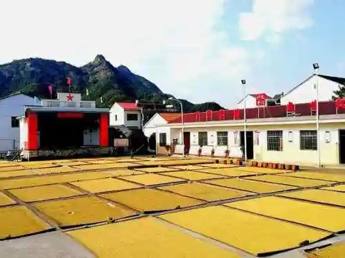 咸鱼守场阵容怎么搭配(咸鱼之王配队阵容推荐)插图2