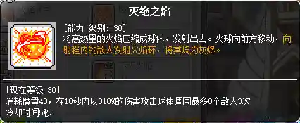 冒险岛炎术士技能展示(冒险岛t0输出的职业)插图47
