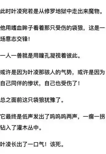 我和七个女神在荒岛求生(和女神们流落荒岛我为王免费阅读)插图58