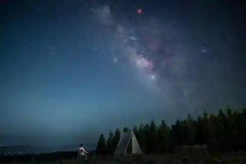星际传说阵容搭配图鉴最新(星际52区最强阵容)