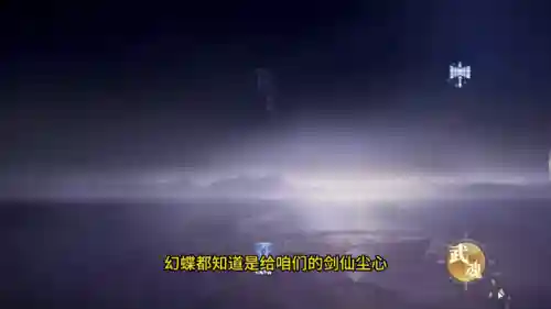 刺血悬赏阵容搭配攻略(白荆回廊最佳阵容平民攻略)