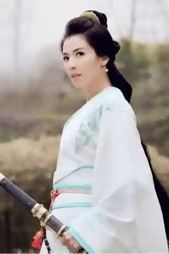 乱世逐鹿张春华阵容搭配(张春华开荒阵容)插图6
