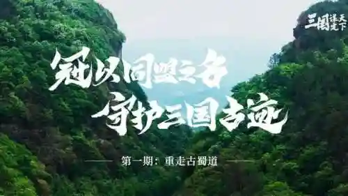 阵容搭配自动游戏有哪些(能组队的游戏有哪些？)插图11
