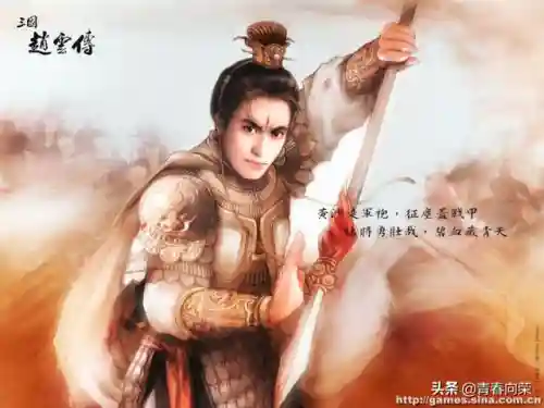 三国之霸者无双(三国之奇谋天下)插图48