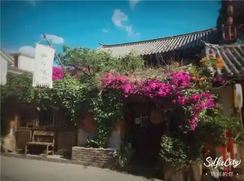 不败精灵最强阵容如何搭配(零命雷神最适合的阵容)插图9