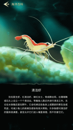 海底世界游戏(一款很美的在海底的游戏)插图3 海底世界游戏(一款很美的在海底的游戏)插图3