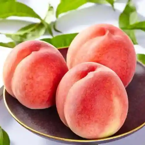水蜜桃图片大全唯美壁纸(桃子壁纸软件下载)插图24