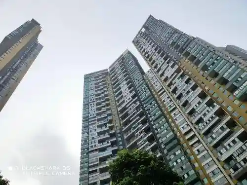天域鬼泣搭配阵容推荐(云顶之弈阵容搭配图表)插图37
