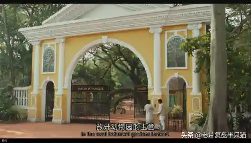 少年派的奇幻漂流(少年派隐喻深度解析)插图10
