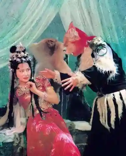 西游记演员死亡表(西游记50位美女排名)插图44