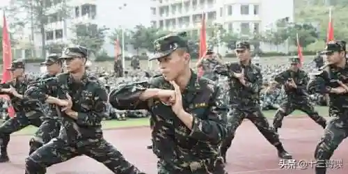 士兵格斗阵容搭配表大全(格斗家配什么阵容)插图1 士兵格斗阵容搭配表大全(格斗家配什么阵容)插图1