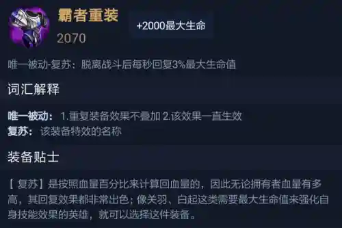 王者荣耀选手阵容装备搭配(王者荣耀5黑阵容排名)插图32