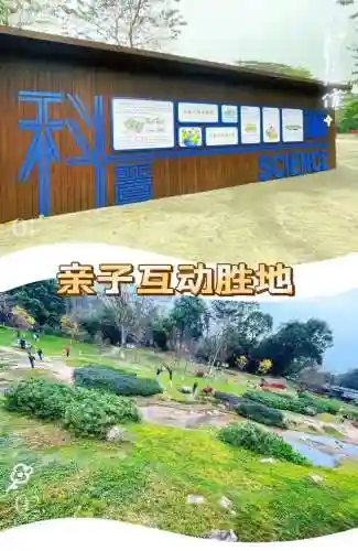 天选森林大树阵容搭配(大树头森林餐厅)插图11