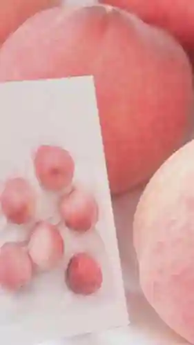 水蜜桃图片大全唯美壁纸(桃子壁纸软件下载)插图56