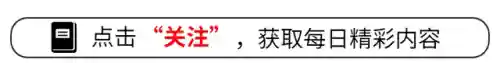 不朽传说阵容搭配图片高清(不朽家族平民玩家阵容推荐)