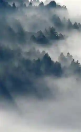 超好看的手机壁纸图片(手机壁纸图片女生专用)插图11 超好看的手机壁纸图片(手机壁纸图片女生专用)插图11