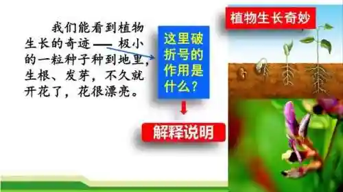 奇妙的近义词(奇妙的近义词是什么(最佳答案))插图38