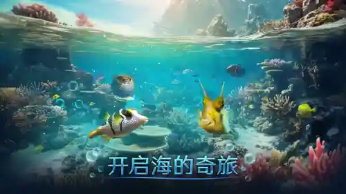 海底世界游戏(一款很美的在海底的游戏)