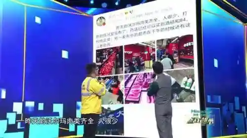文明与征服空哥阵容搭配(文明与征服南亚战象阵容)插图10