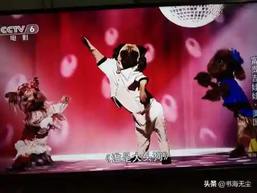 龙妈加狗子阵容搭配(云顶之弈奶妈主c阵容)插图19