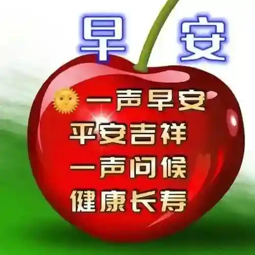 早安物语推荐阵容搭配图(心力物语最强阵容)插图7