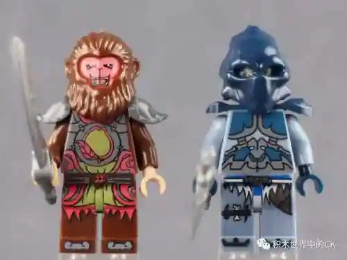 绝版魔幻西游积木搭配阵容(梦幻西游最强伙伴阵容)插图16