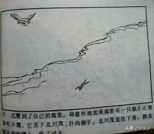 寻宝渔夫大亨(捕鱼大亨)插图13