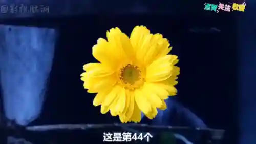 捉鬼合家欢(捉鬼合家欢高清国语在线观看西瓜)插图3