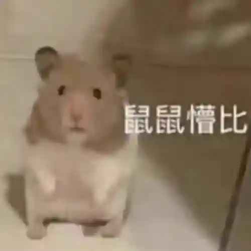 地图高德地图(地图上如何添加自己公司的地址)