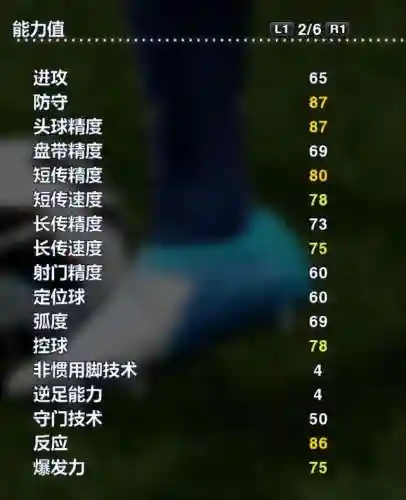 实况2013最强阵容(pes2013最强国家队)插图44