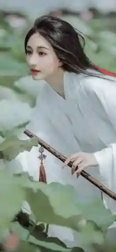 主题壁纸大全(免费主题软件下载)插图21