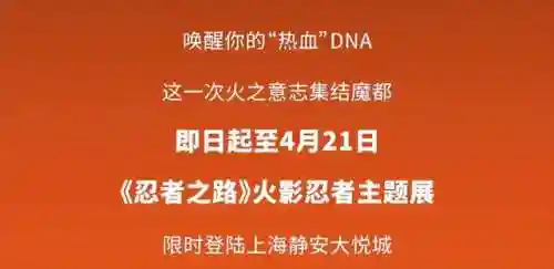 火影忍者手游忍者之路(火影忍者v15账号密码免费)插图3