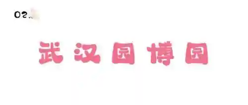 梦幻恐龙公园最强阵容搭配(梦幻龙乐园)插图7