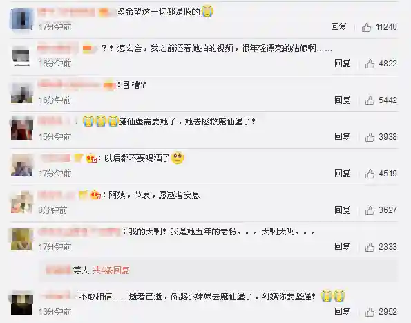 巴啦啦小魔仙美琪(巴啦啦小魔仙在哪里看)插图11