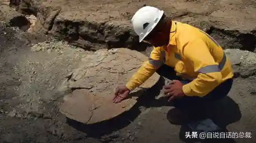 远古巨兽大复活(上古神兽饕餮电影免费)插图24 远古巨兽大复活(上古神兽饕餮电影免费)插图24